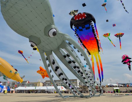 Programme des 39es Rencontres Internationales de Cerfs-Volants