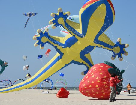 Une odyssée éclatante, féerique et démesurée