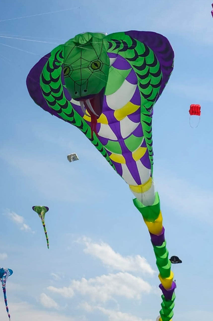 Cobra
