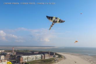 Photos aériennes par Cerf-volant image n°2